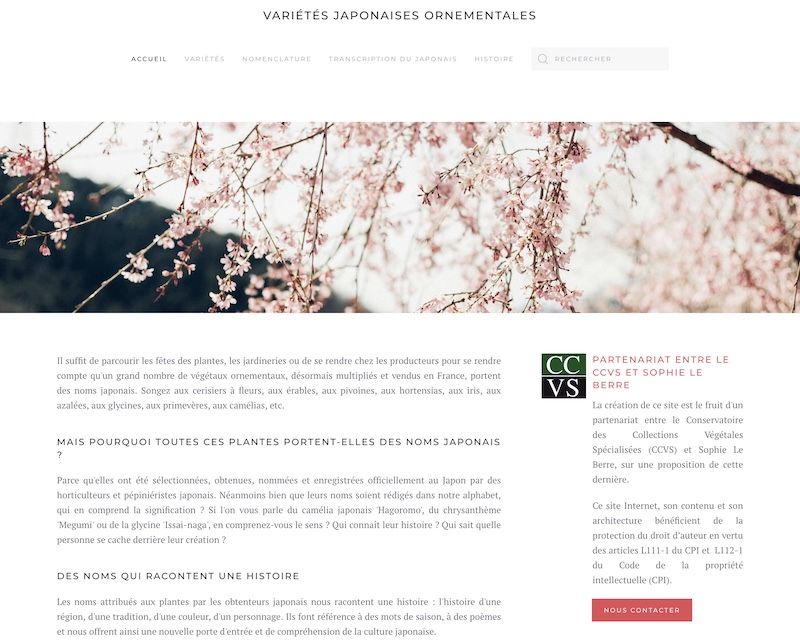 Tout savoir sur le nom japonais des plantes ornementales